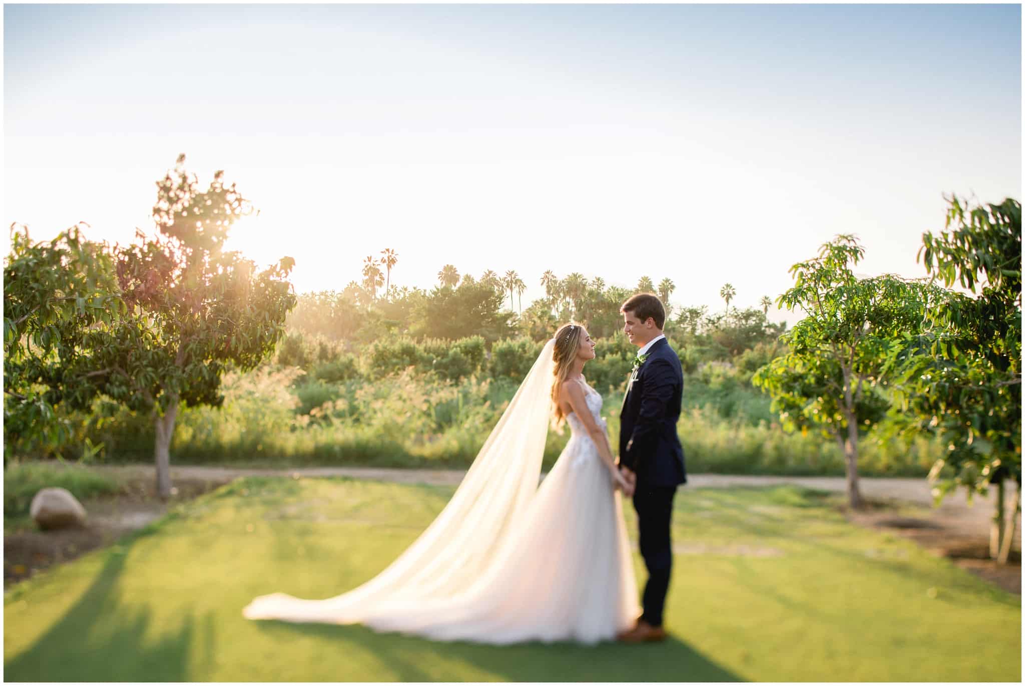 Cabo Photographer - Sara Richardson_3069